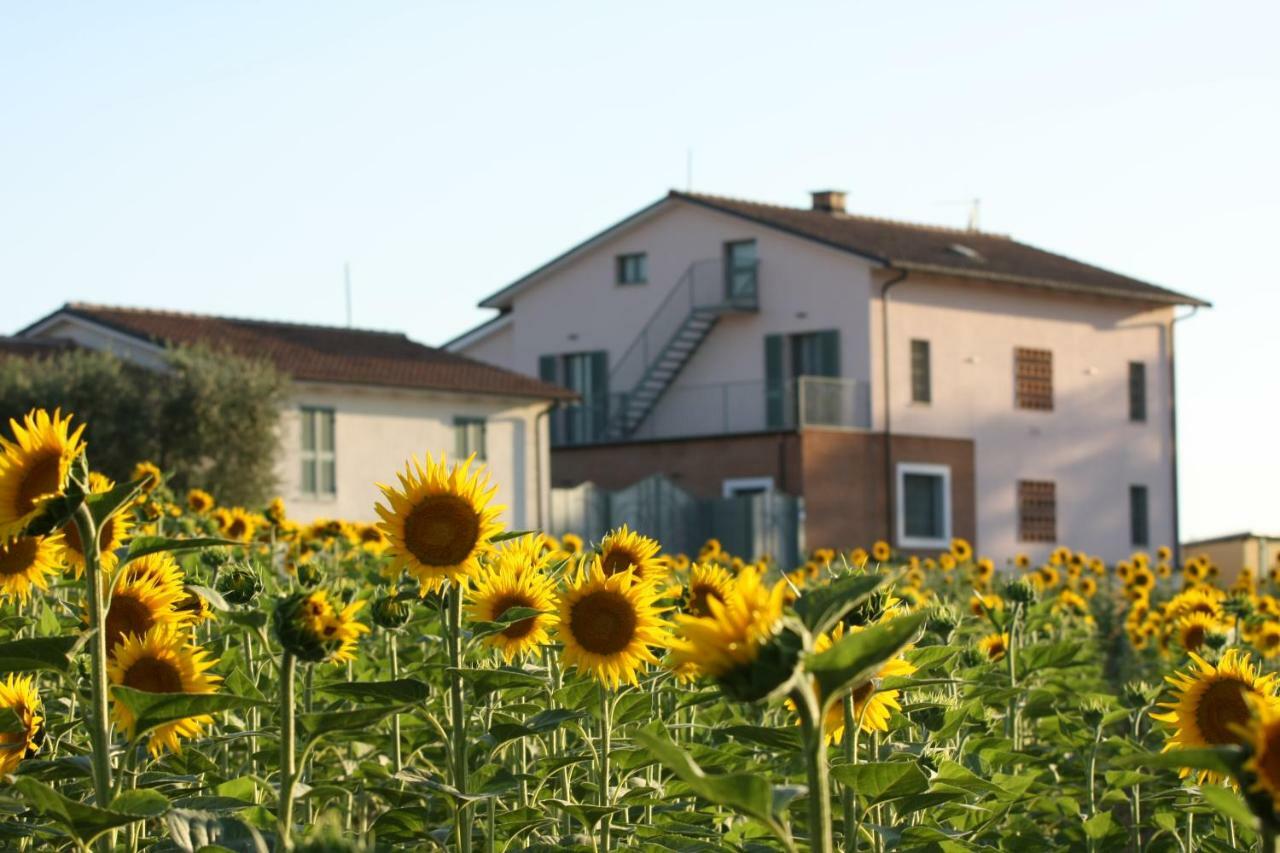 La Collina Del Girasole Villa Montecastrilli Exterior foto